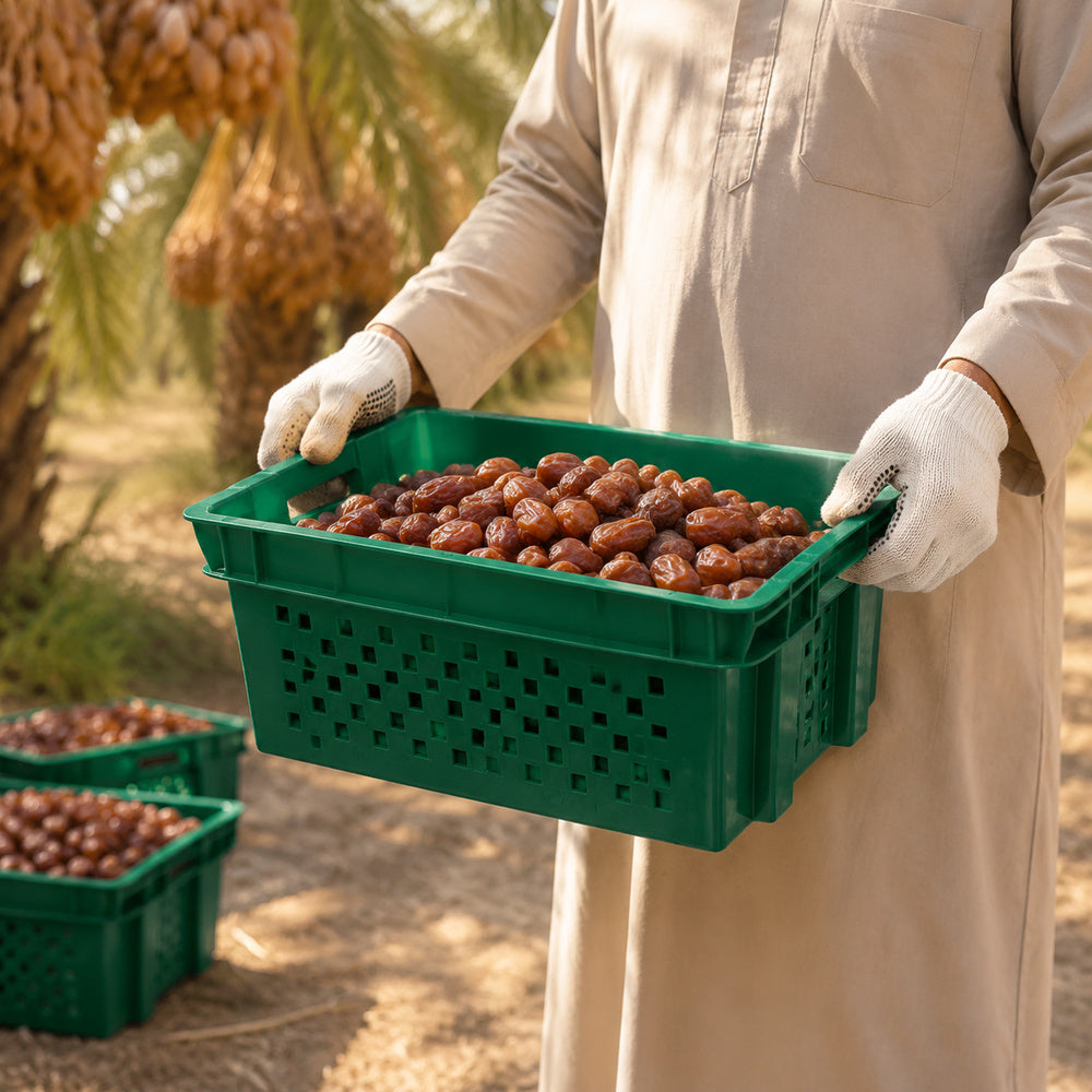 Food Grade Crate for Dates, Fruit and Vegetables (Green)