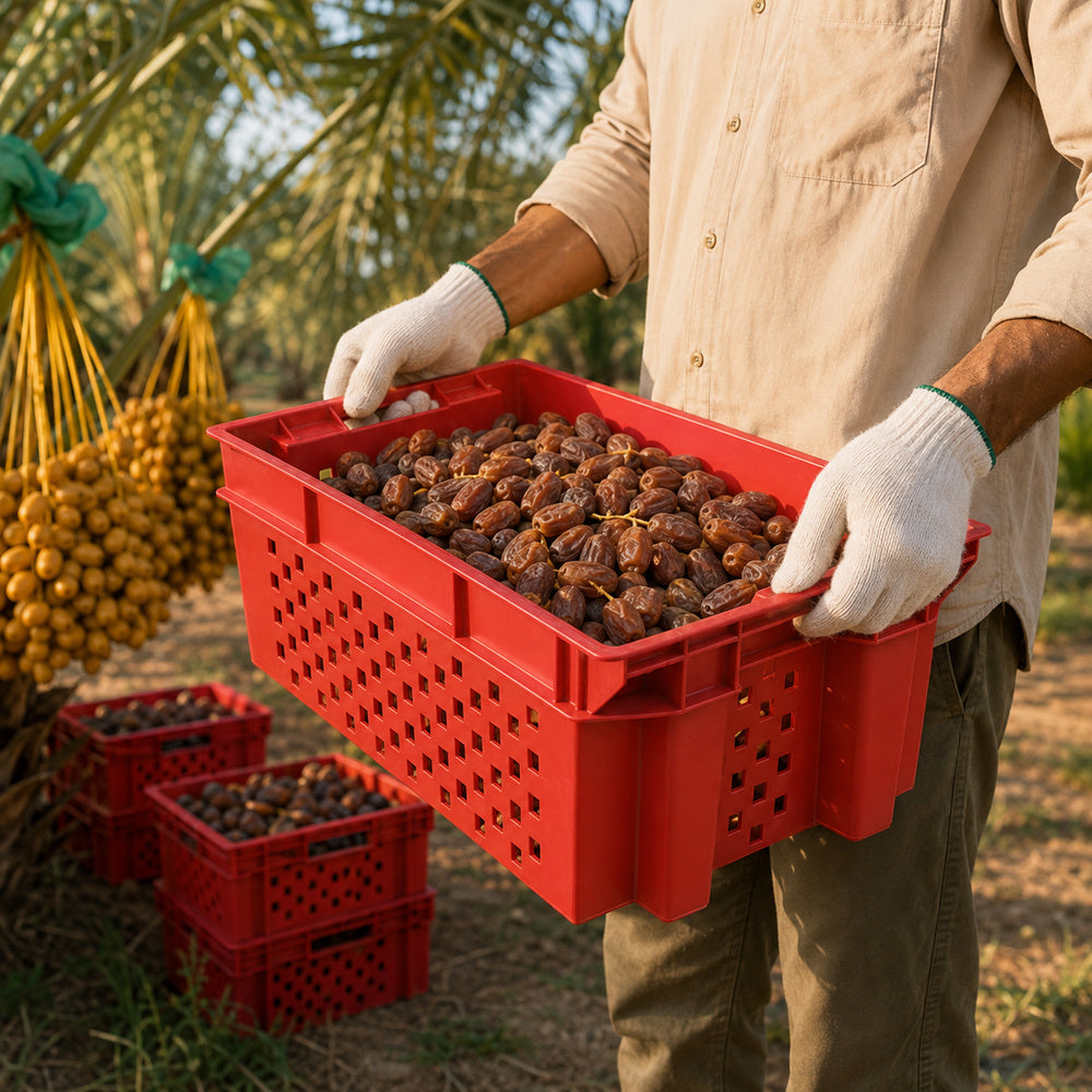 Food Grade Crate for Dates, Fruit and Vegetables (Red)