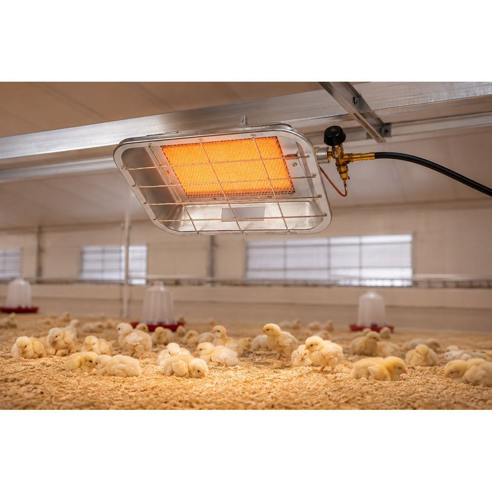 Borotto Infrared Gas Brooder With Security Valve