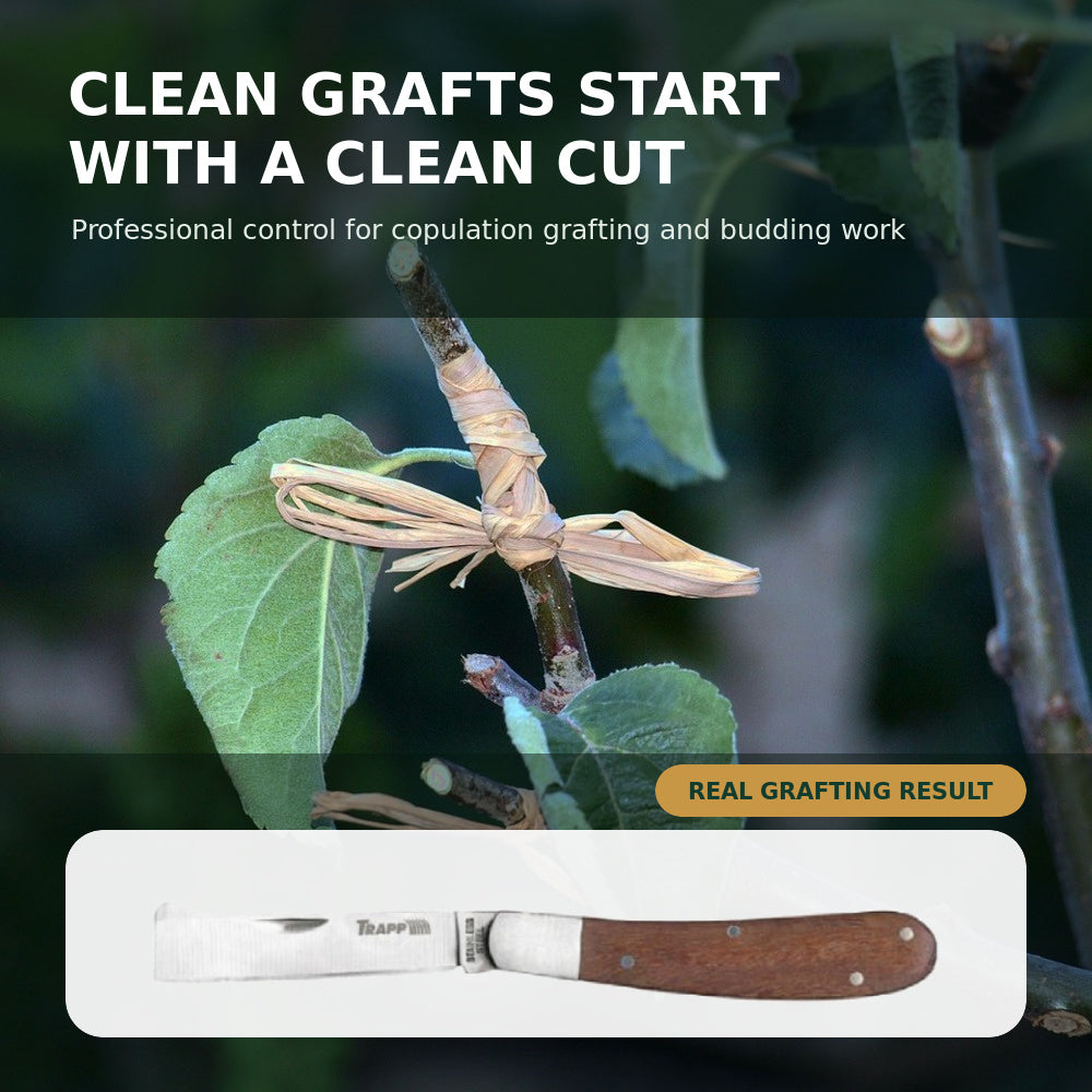 Trapp Brazil Grafting & Budding Knife, 2.87 Inch Stainless Steel Blade with Comfortable Wooden Handle (KN02)
