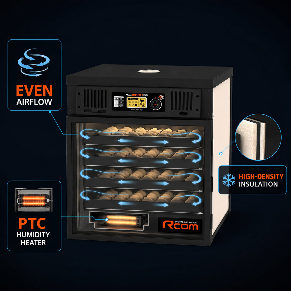 Rcom MARU Incubator Deluxe Pro, PX-200SD (Made in Korea)