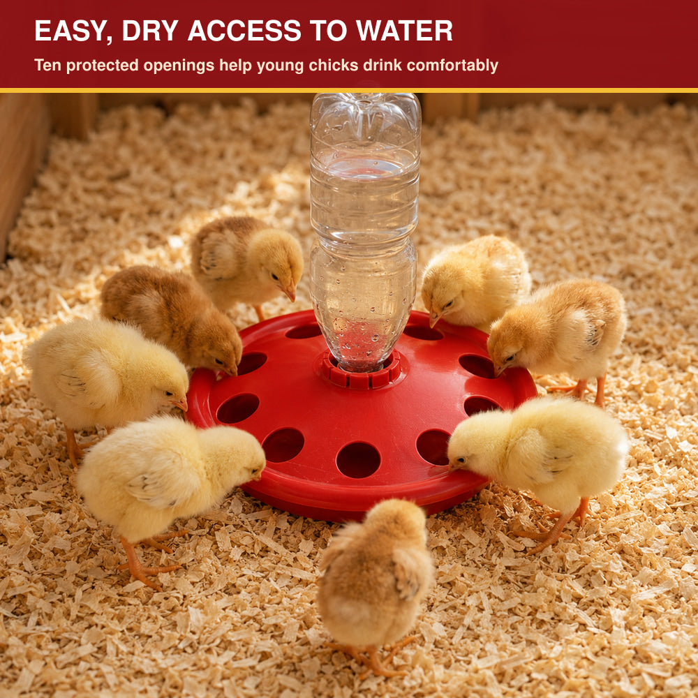 River Disc Bottle Holder Drinker for Chicks