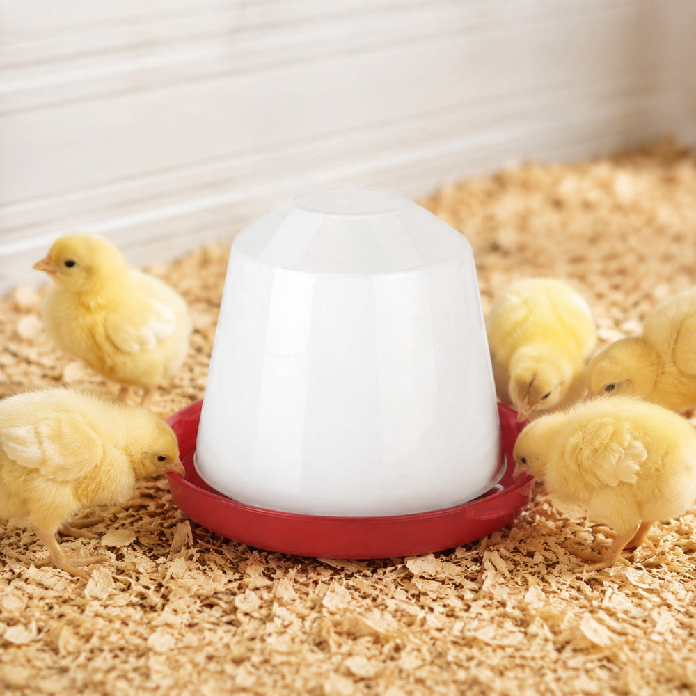 Novital Bird Drinker 3.5 Liter for Chicks and other similar Birds (Made in Italy)