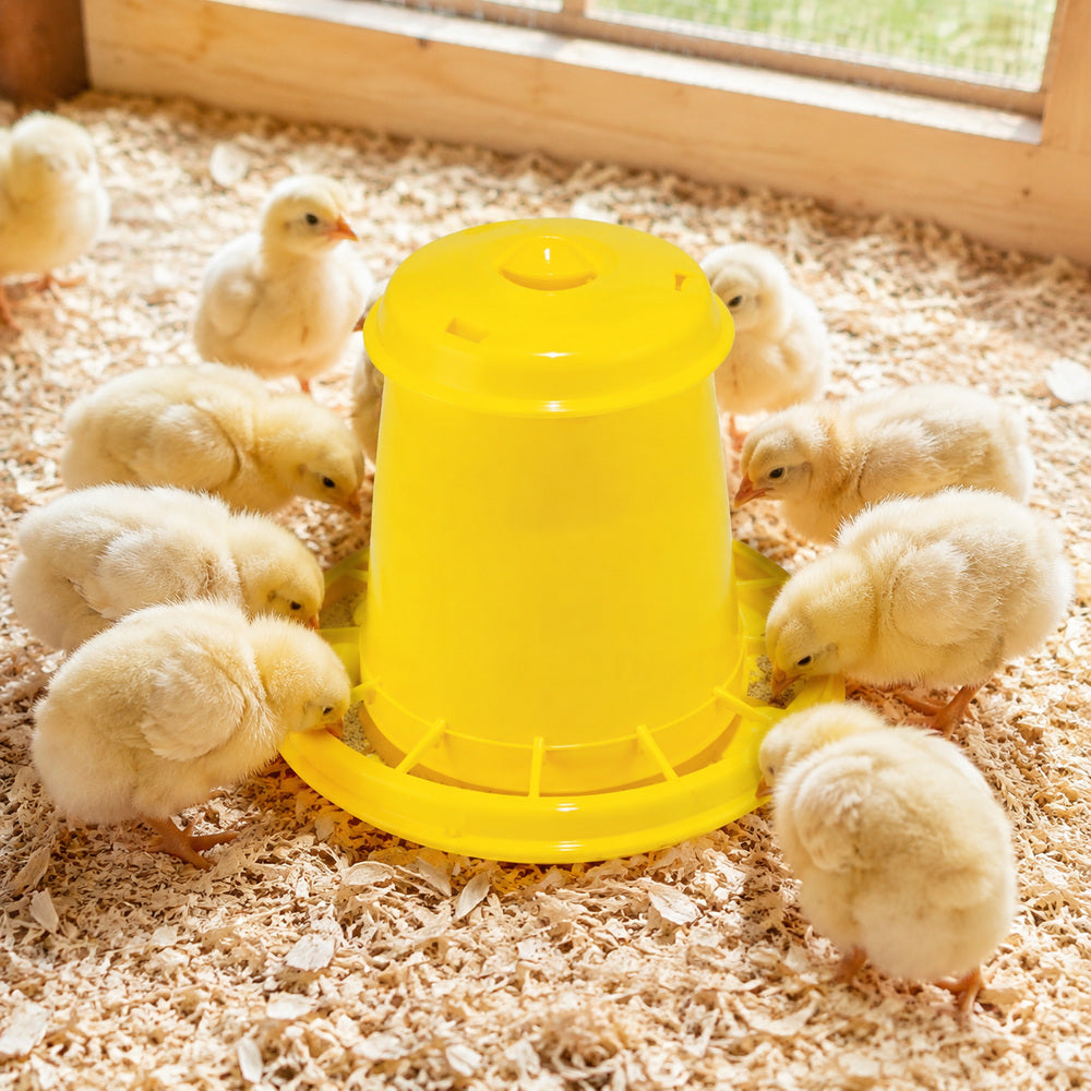 Novital Chicken Feeder Yellow 2.5 Liter (Made in Italy)