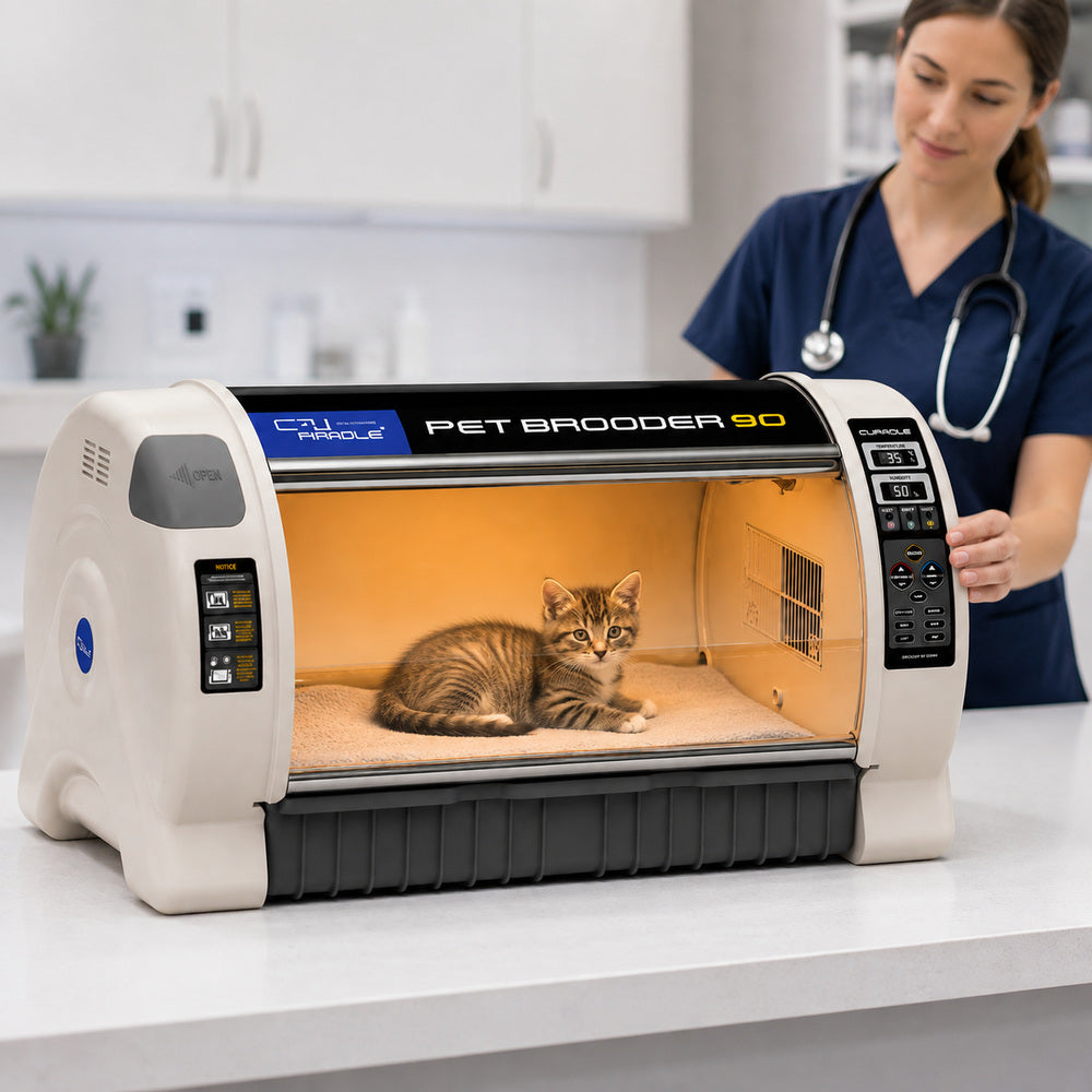 RCOM CURADLE Large PET Brooder Nursery MX-B90 N, Made in Korea (Your Local UAE Distributor)