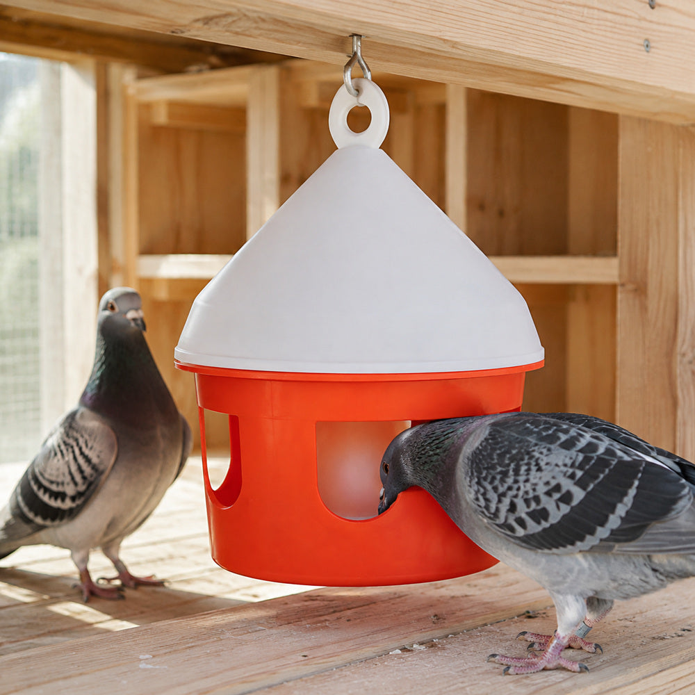 Novital 3 Liter Drinker for Pigeons and other similar Birds (Made in Italy)