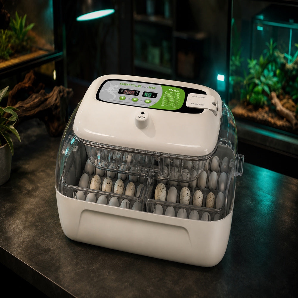 Rcom Reptile Incubator (60 Max)