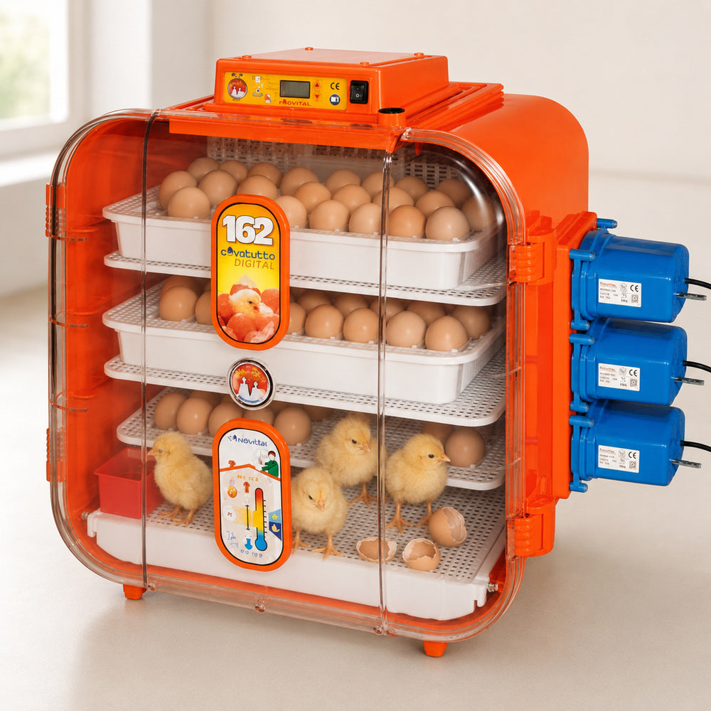 Kerbl Novital 162 eggs Full Automatic Egg Incubator for Hatching Eggs with Digital Thermometer, Poultry Hatcher, Made in ITALY, Your Local UAE Distributor