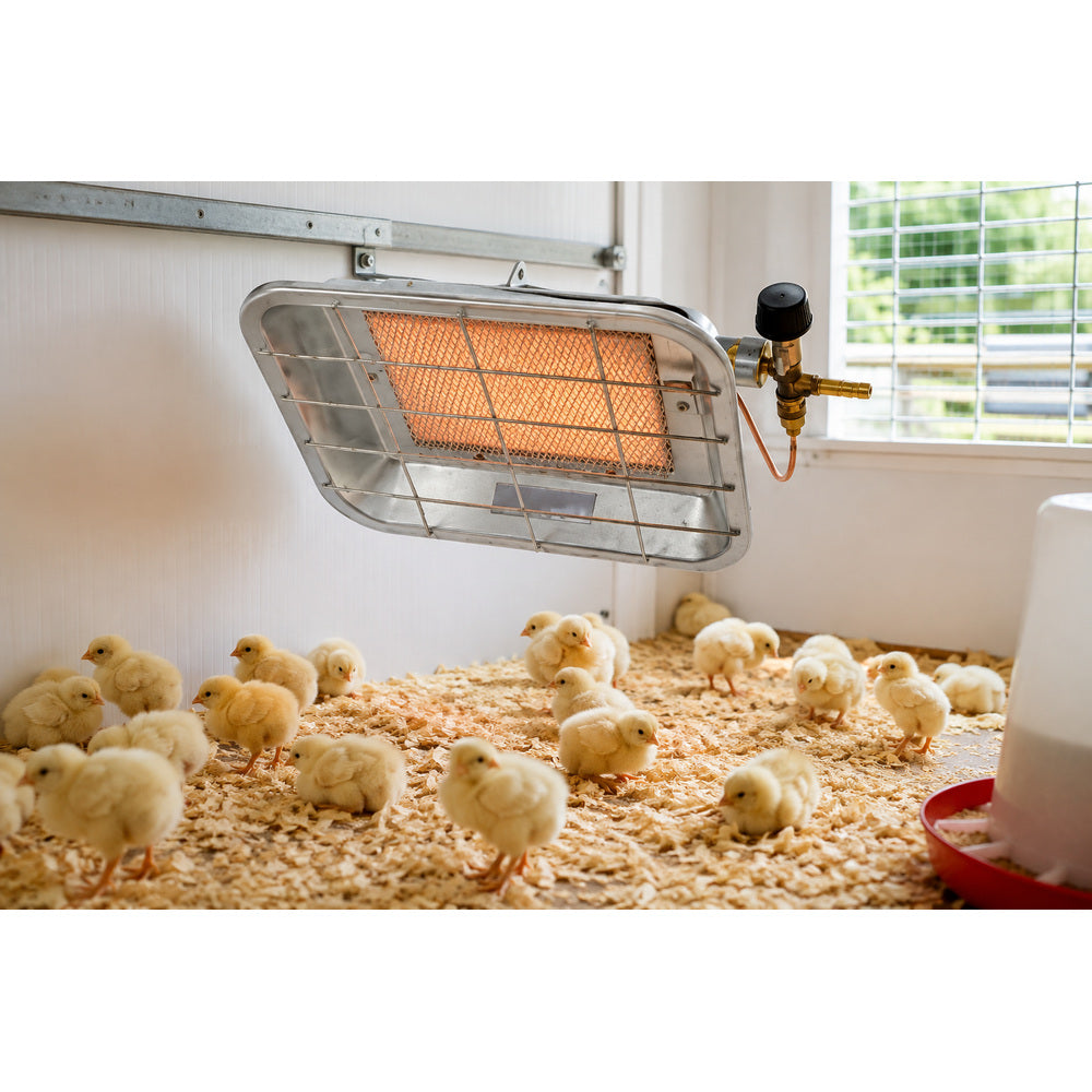 Borotto Infrared Gas Brooder With Security Valve