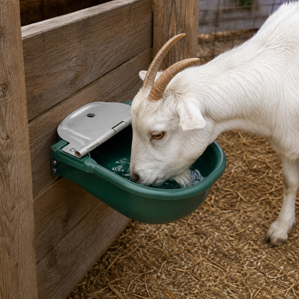 Drinking Bowl 4 Liter Capacity with Stainless Steel Lid and Plastic Bowl