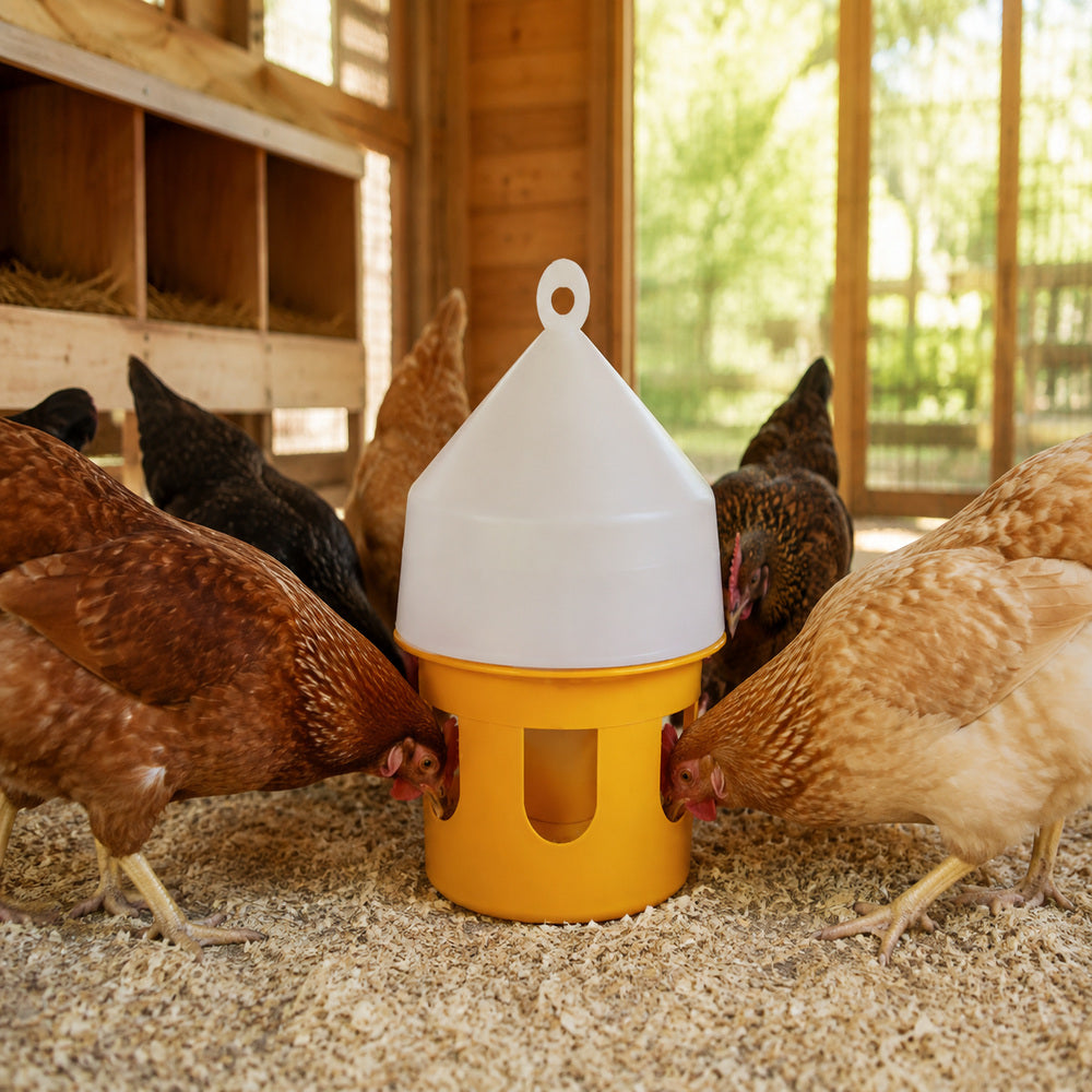 Novital 8 Liter Bird Feeder for Pigeon and other similar birds, Durable Bird Feeder with Hook (Made in Italy)