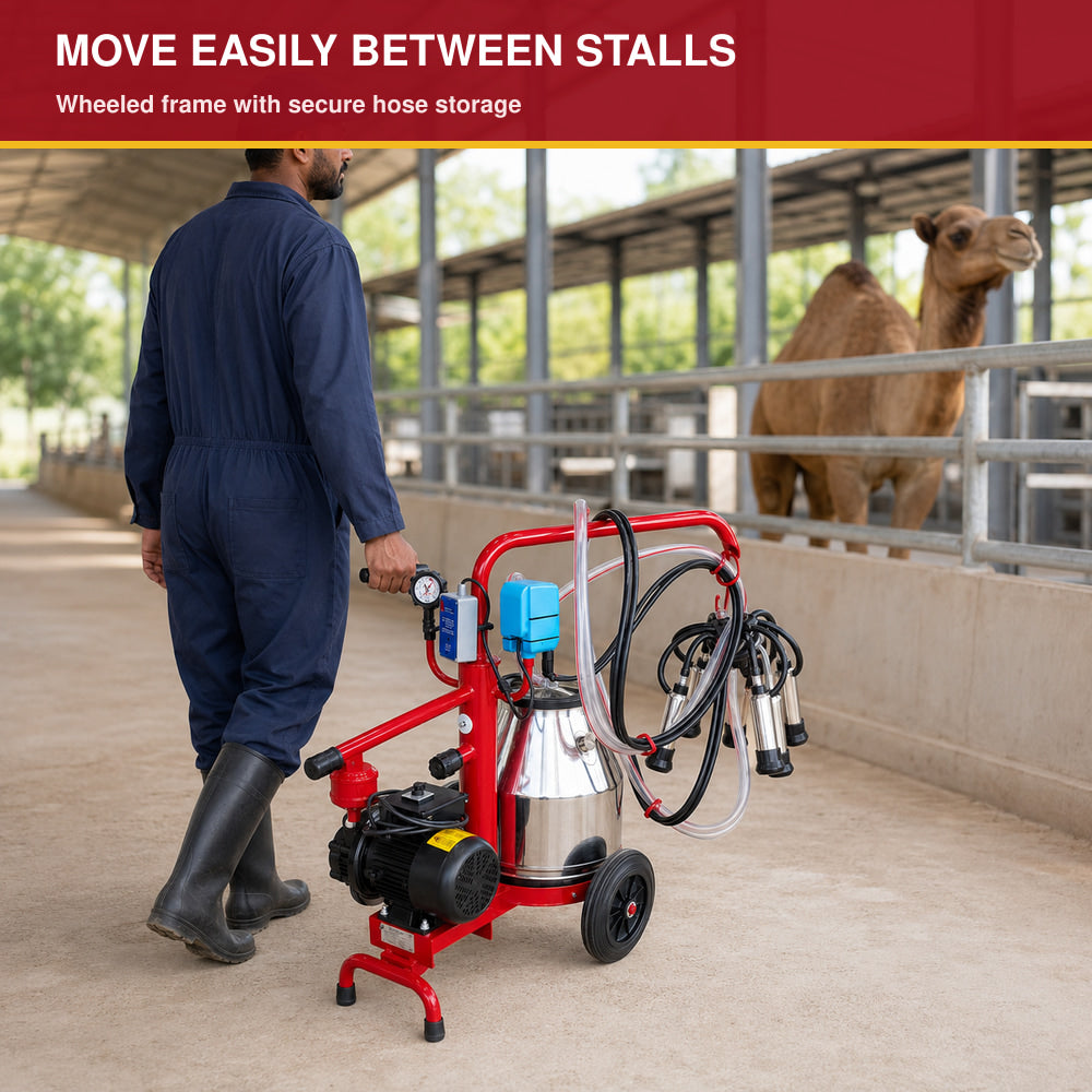 Melasty 25L Single Milking Machine for Camel (Made in Turkey)