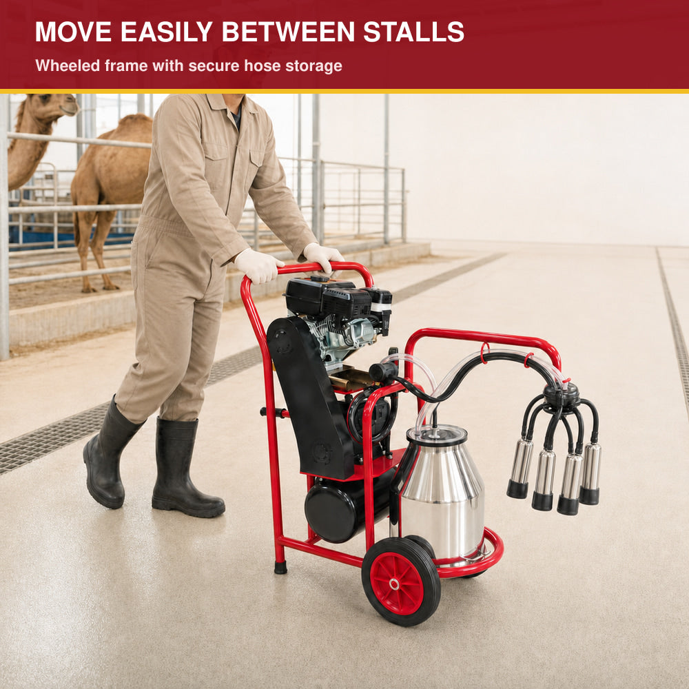 Melasty Single Milking Machine for Camel (Made in Turkey)