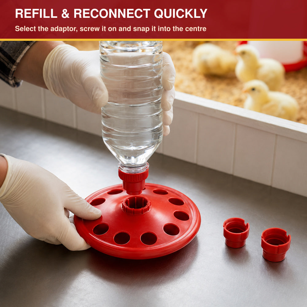 River Disc Bottle Holder Drinker for Chicks