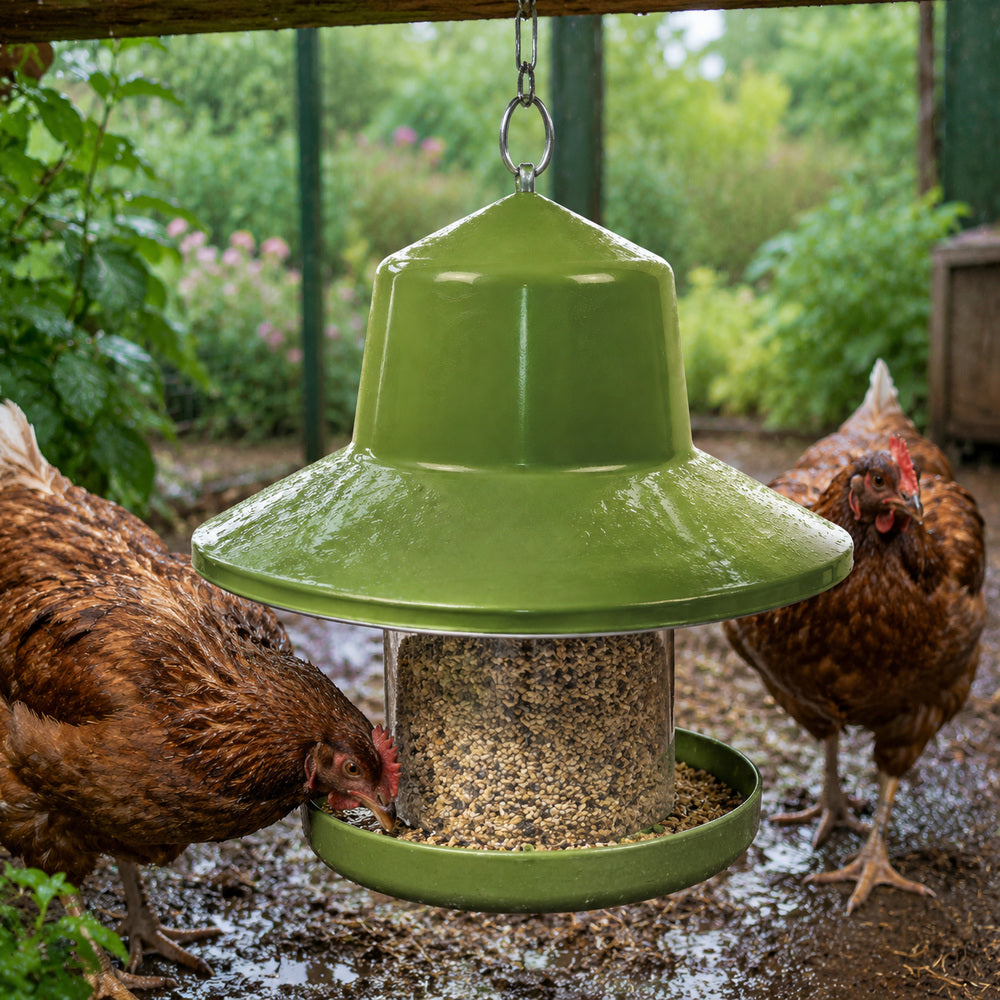 Giordano Garden Rain Cover for Chicken and other similar Birds (Made in Italy)
