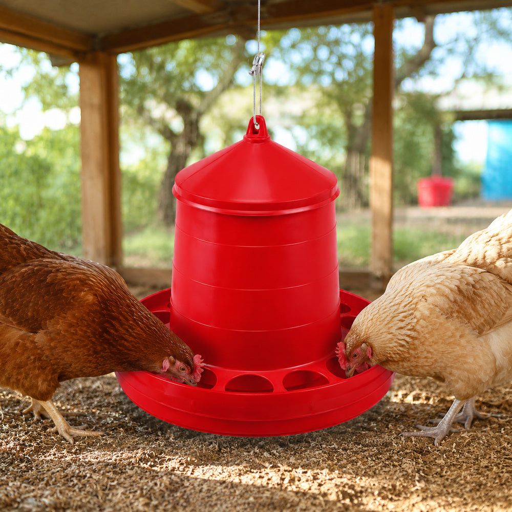 Gaun 12kg Bird Feeder for Chicken and other similar Birds (Made in Spain)