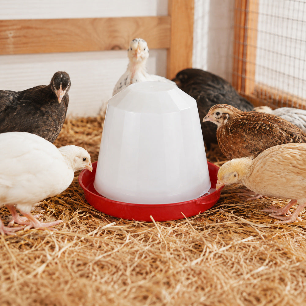 Novital Bird Drinker 3.5 Liter for Chicks and other similar Birds (Made in Italy)