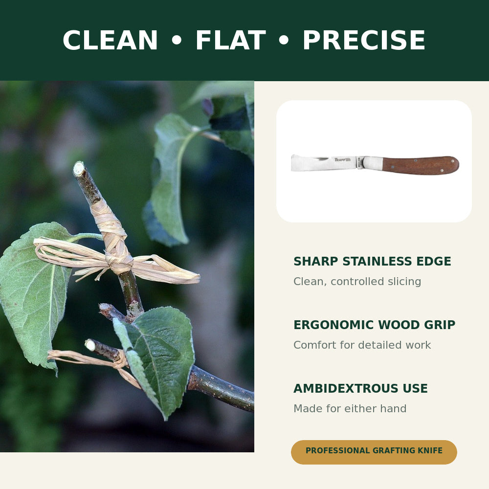 Trapp Brazil Grafting & Budding Knife, 2.87 Inch Stainless Steel Blade with Comfortable Wooden Handle (KN02)