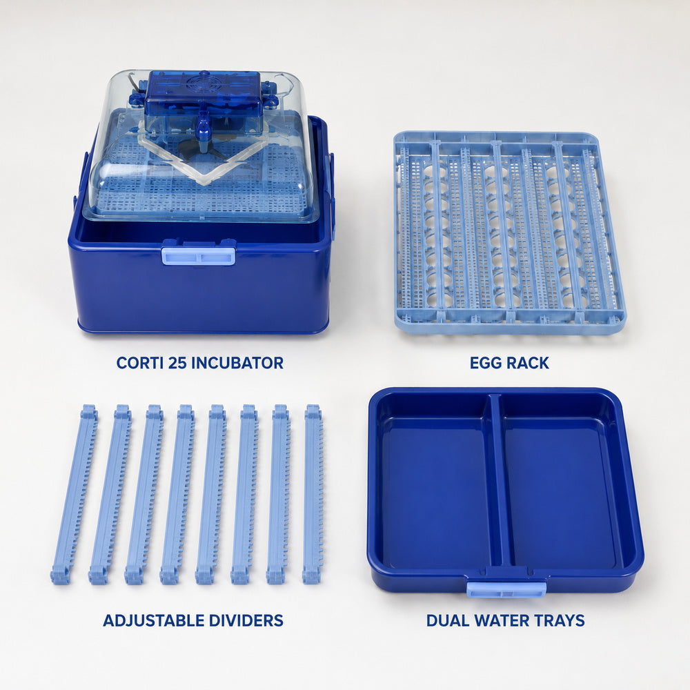 Corti 25 Eggs Automatic Incubator
