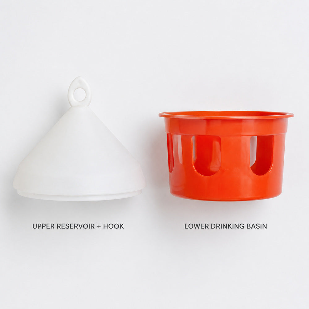 Novital 3 Liter Drinker for Pigeons and other similar Birds (Made in Italy)