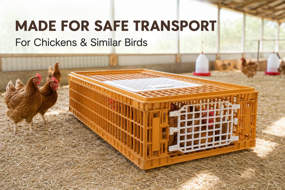 Giordano Bird Cage for Chicken and other Similar Birds Portable Bird Cage, Two Door, 97x58x27cm (Made in Italy)