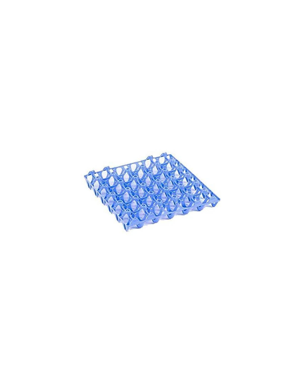 Giordano Jumbo Egg Tray for Chicken, Egg Holder for 30 Eggs (1 pc)
