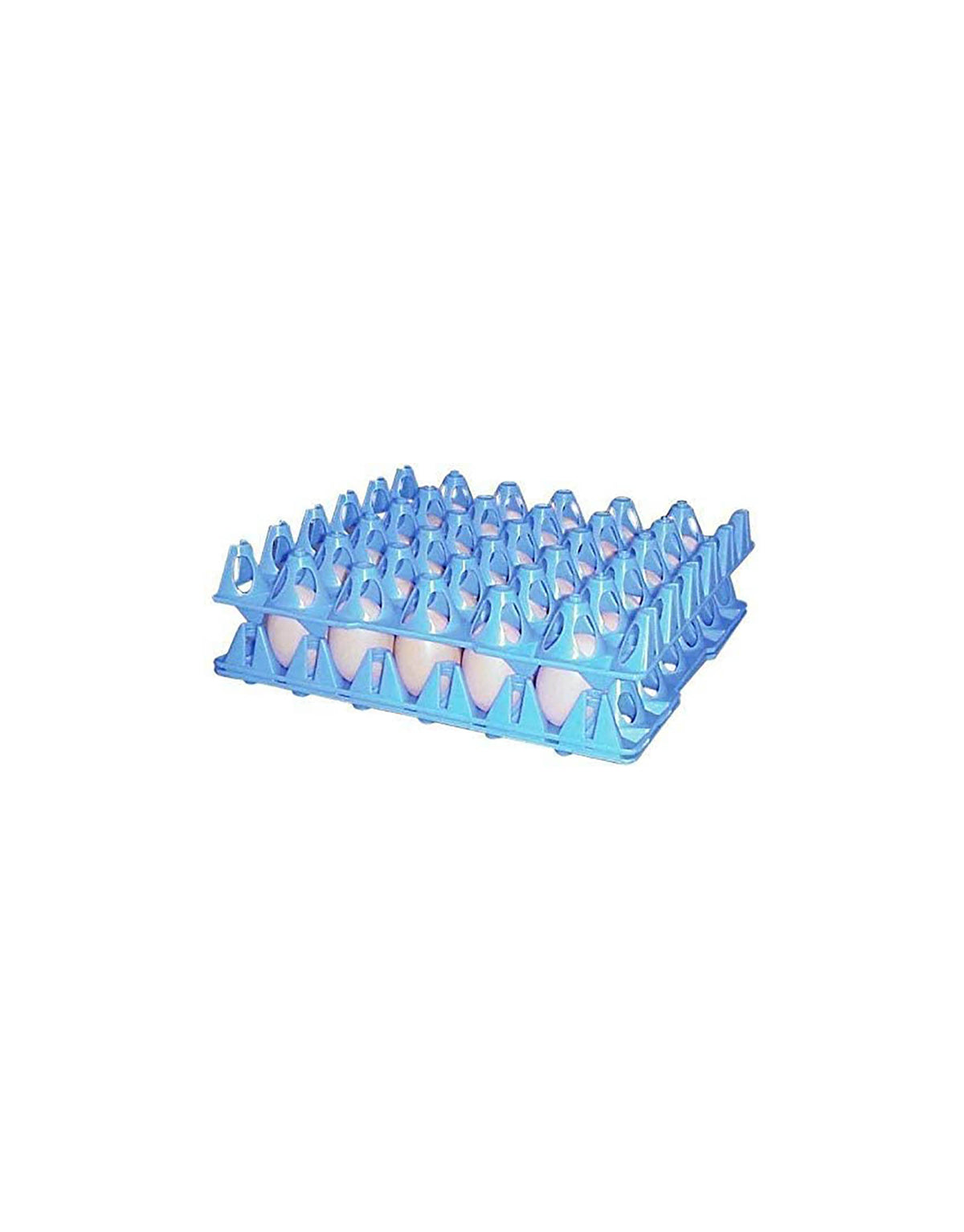 Giordano Jumbo Egg Tray for Chicken, Egg Holder for 30 Eggs (1 pc)