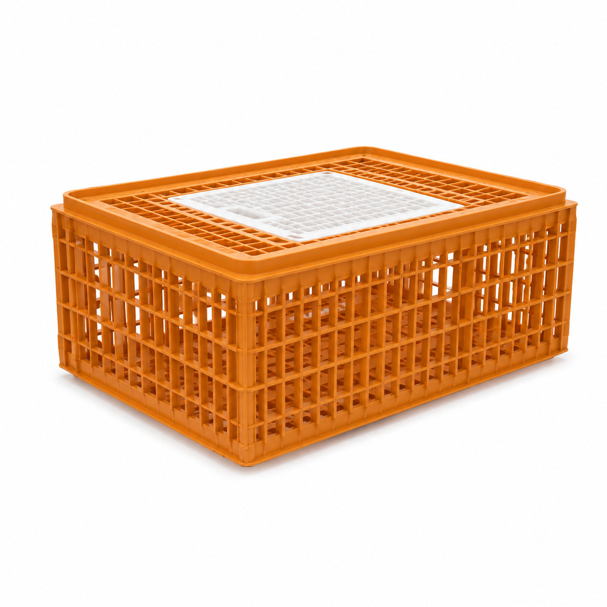 Giordano Turkey Bird Cage Coop 1 Door, Premium Birds Carrier (Made in Italy)