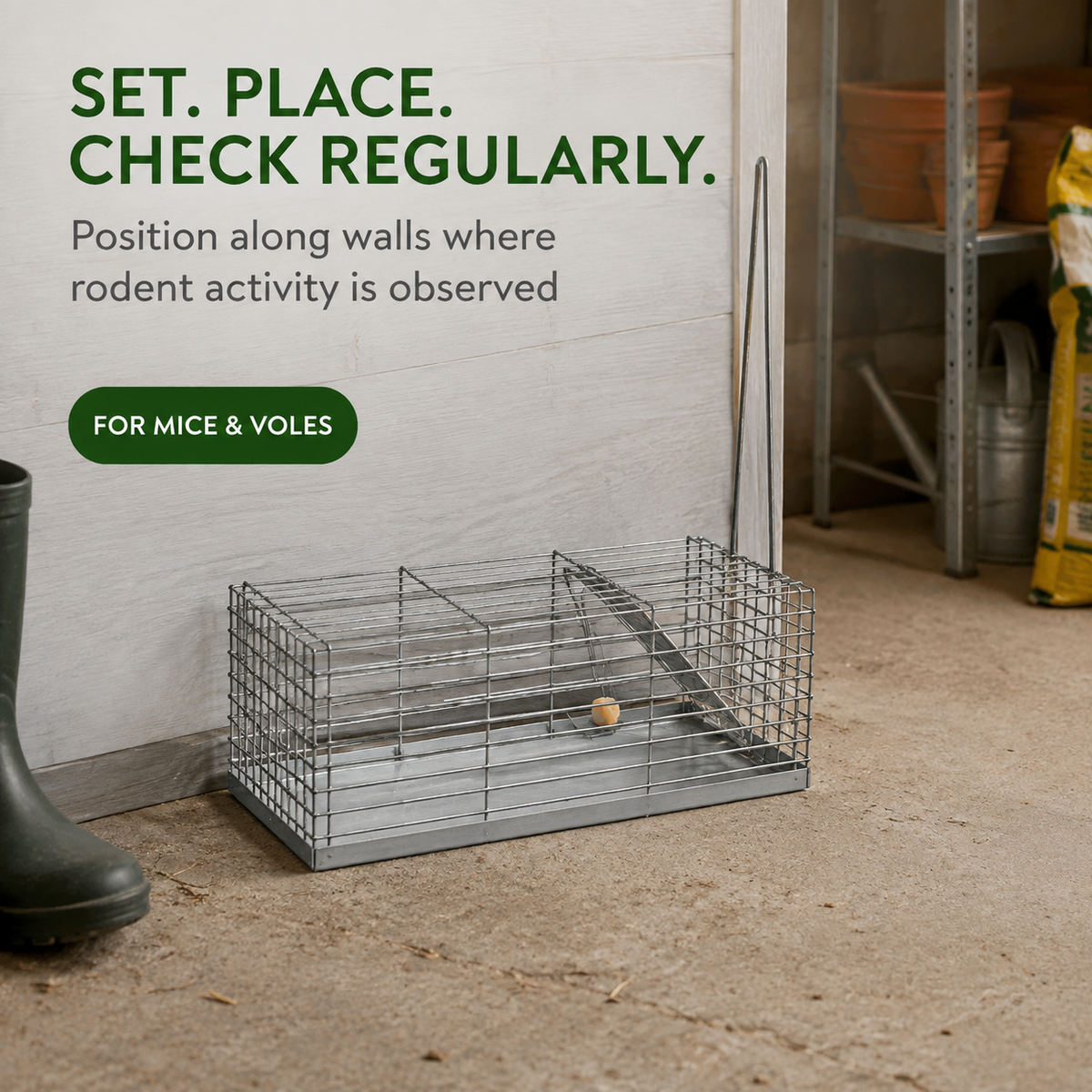 Novital Small Professional Style One-Door Cage Trap for Mouse (Made in ITALY)