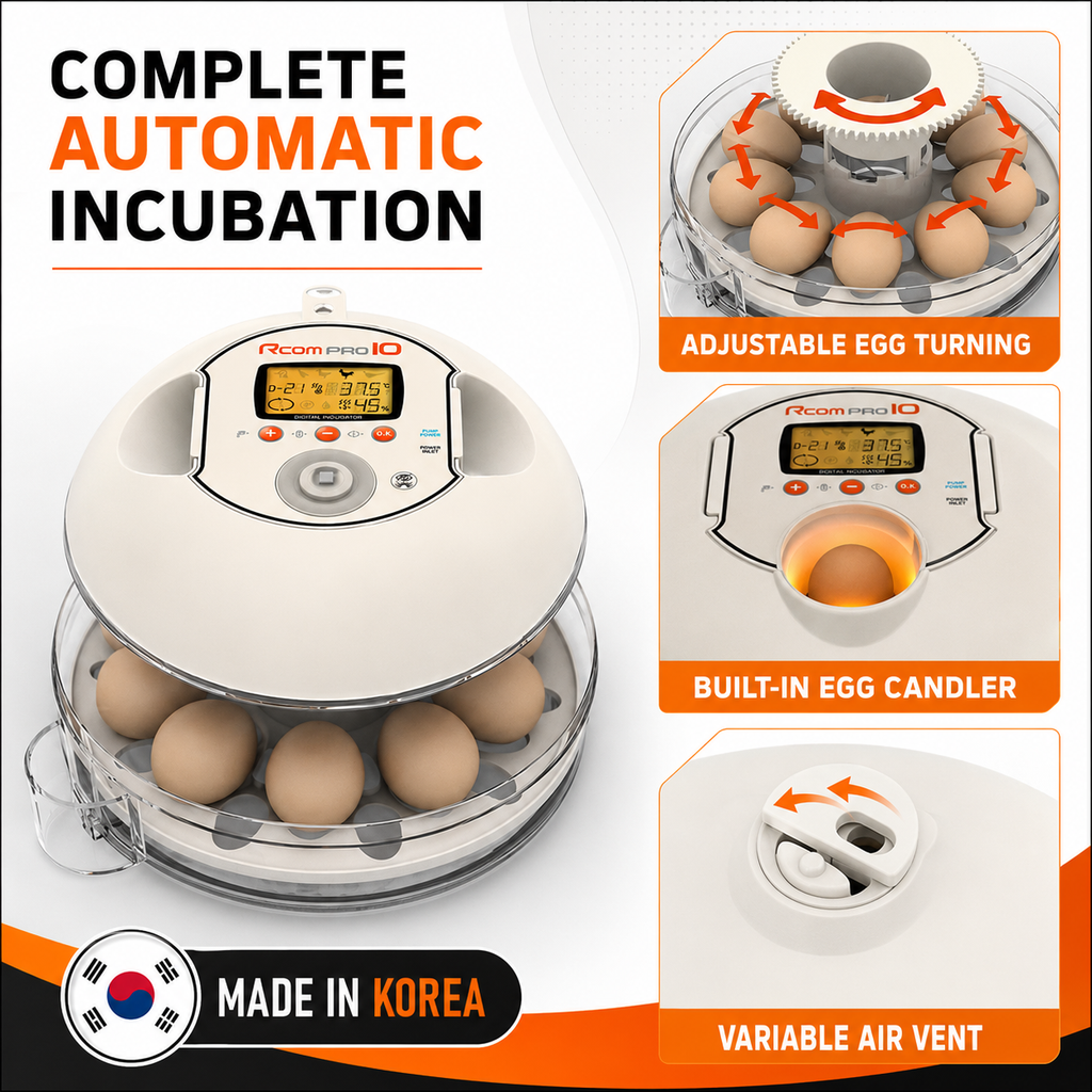10-Eggs Full Automatic Egg Incubator with Automatic Pumping System, Rcom 10 Pro (Made in Korea)