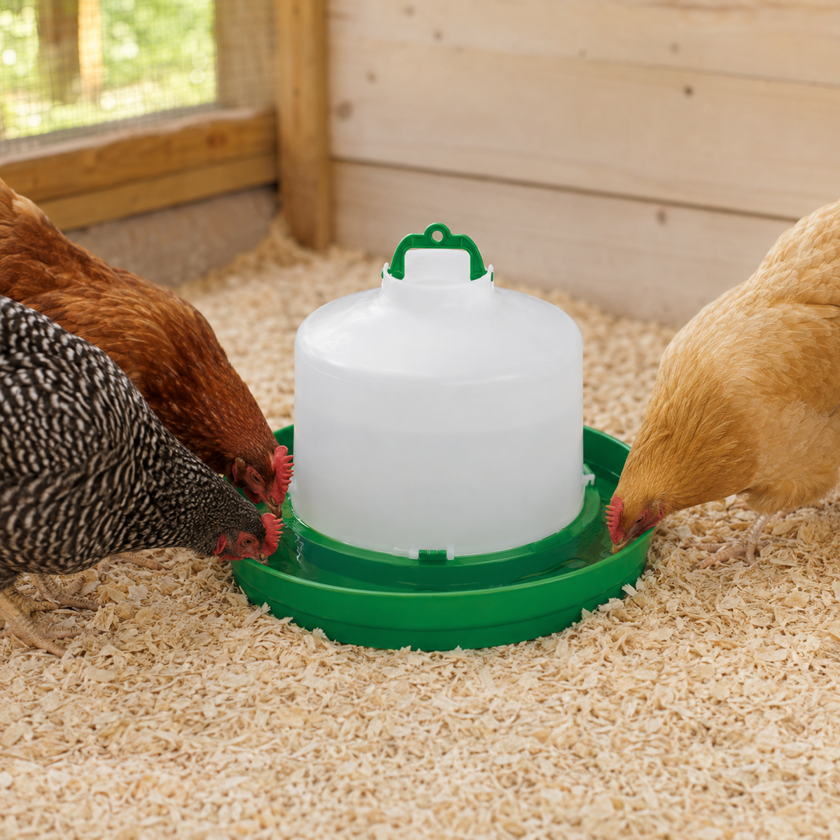 Gaun Drinker for Chickens (5 Liter Capacity)