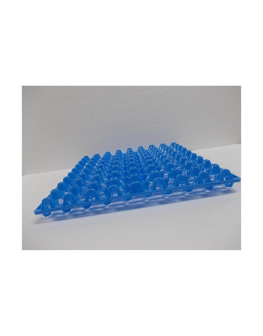 Giordano Premium Egg Tray for Quail, Egg Holder Upto 81 Eggs - 1 Pc (Blue)