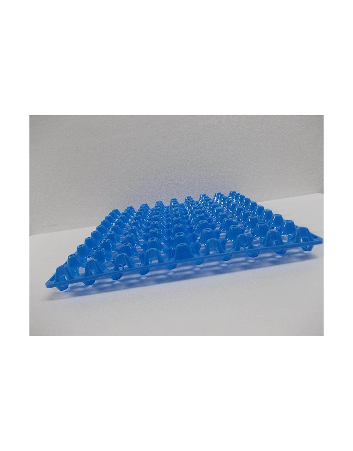 Giordano Premium Egg Tray for Quail, Egg Holder Upto 81 Eggs - 1 Pc (Blue)
