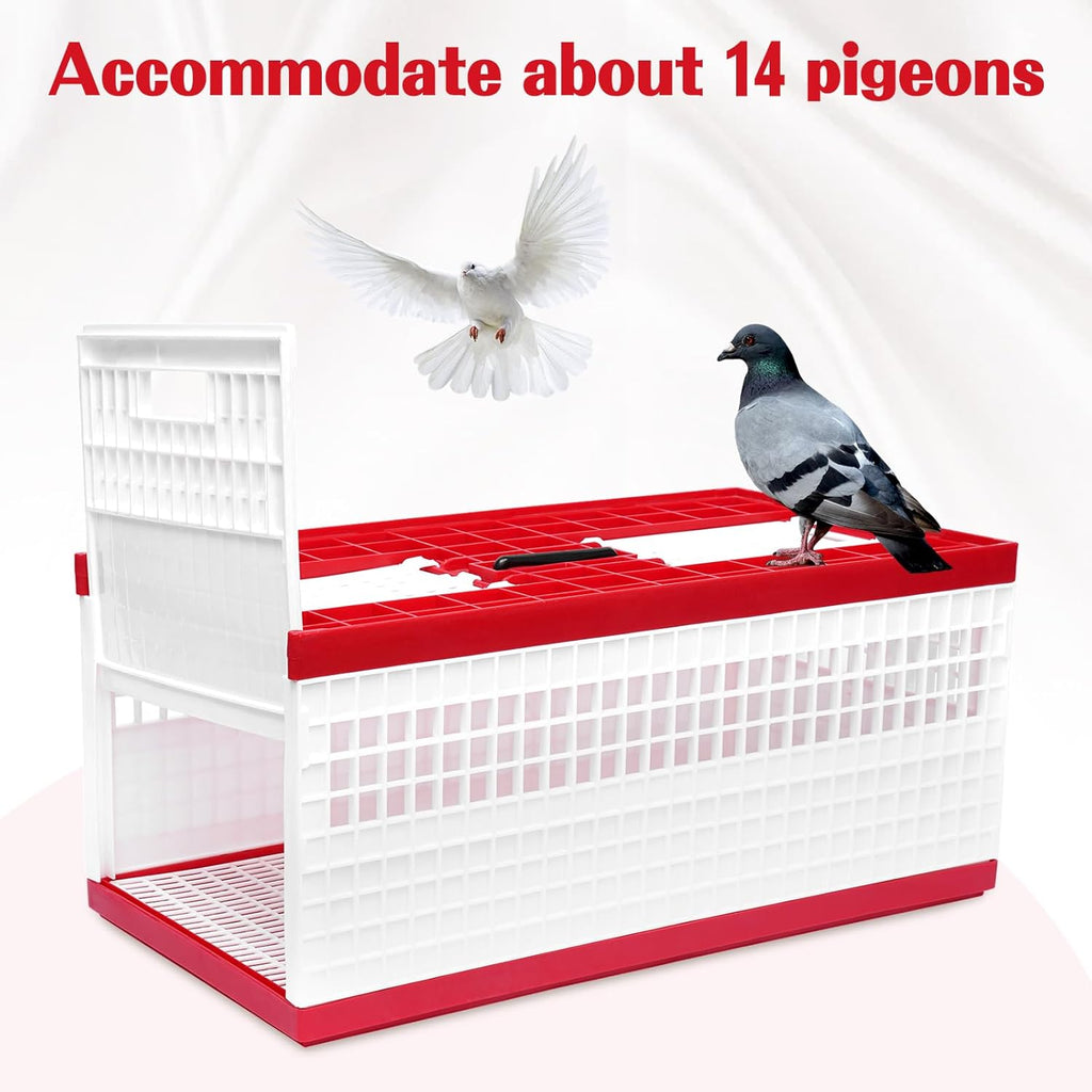 Bird Cage for Pigeon & Similar Birds (60 x 31 x 26 cm – Red & White)