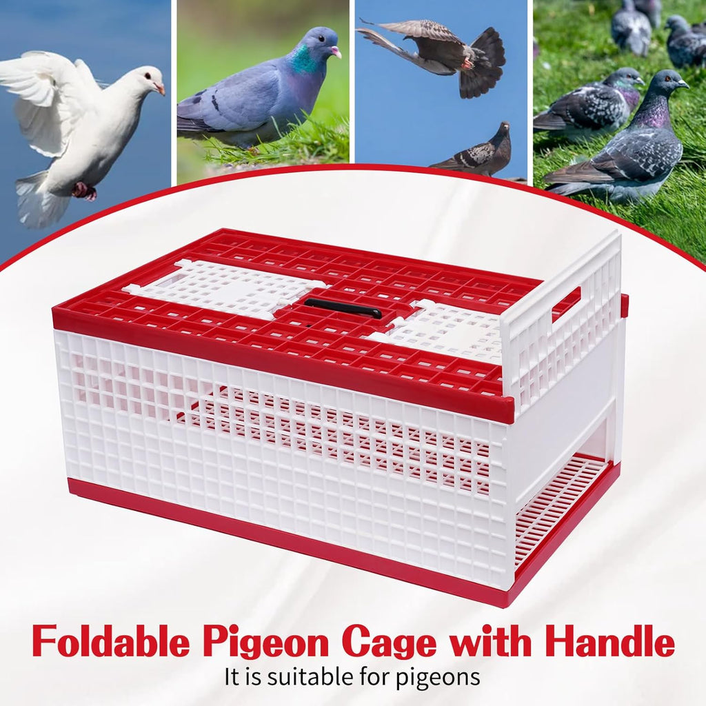 Bird Cage for Pigeon & Similar Birds (60 x 31 x 26 cm – Red & White)