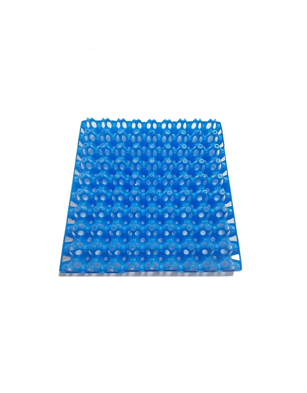 Giordano Premium Egg Tray for Quail, Egg Holder Upto 81 Eggs - 1 Pc (Blue)