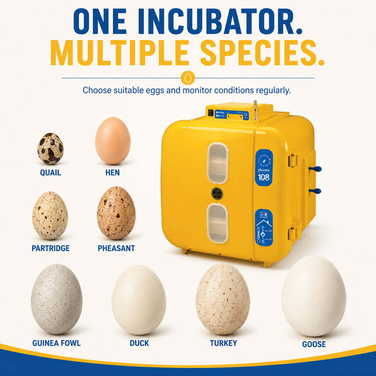 Novital 108 Eggs Analog Egg Incubator (Made in ITALY)