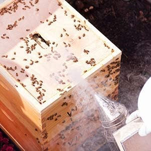 Beehive Beekeeping Smoker Stainless Steel Equipment Hive Box Tool for Bees, Manual Smoke Maker with hanging hook