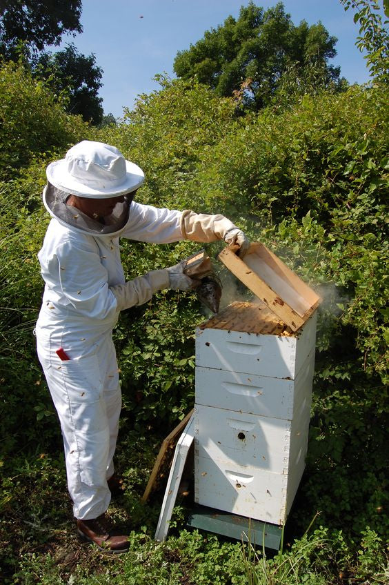 Beehive Beekeeping Smoker Stainless Steel Equipment Hive Box Tool for Bees, Manual Smoke Maker with hanging hook