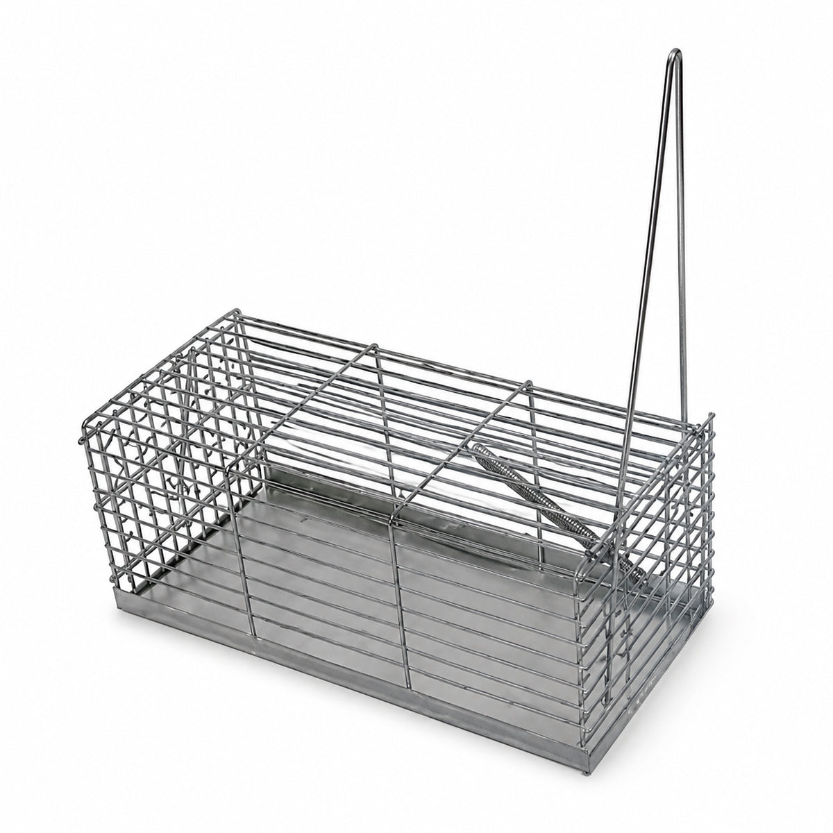 Novital Small Professional Style One-Door Cage Trap for Mouse (Made in ITALY)