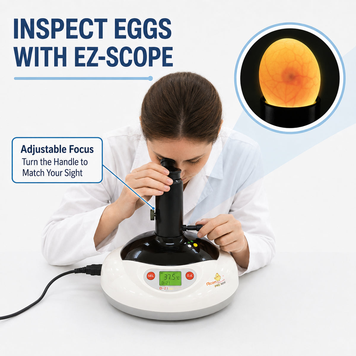 Rcom 3 Eggs Mini Incubator EZ-Scope (PX-03P) (Made in Korea)