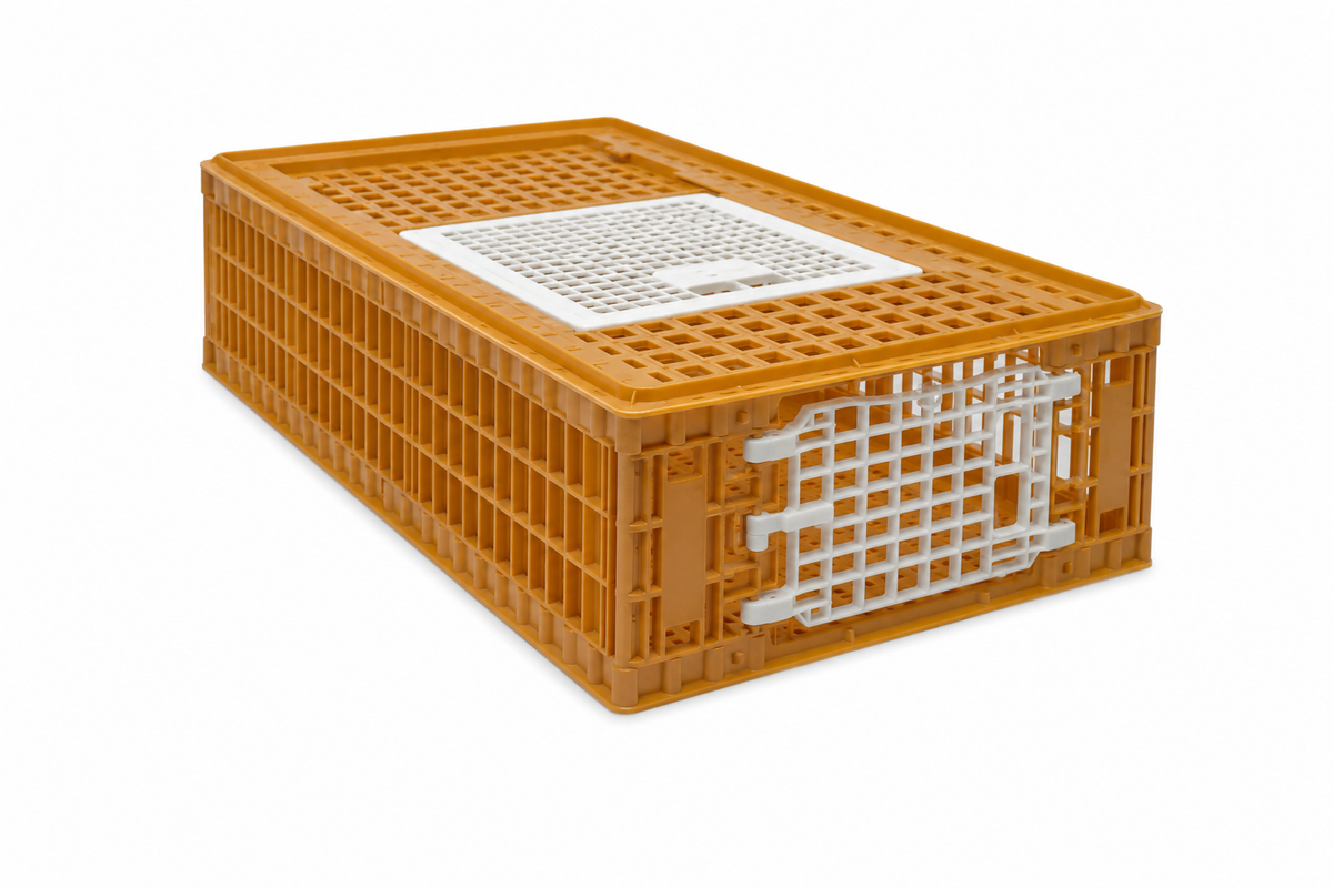 Giordano Bird Cage for Chicken and other Similar Birds Portable Bird Cage, Two Door, 97x58x27cm (Made in Italy)