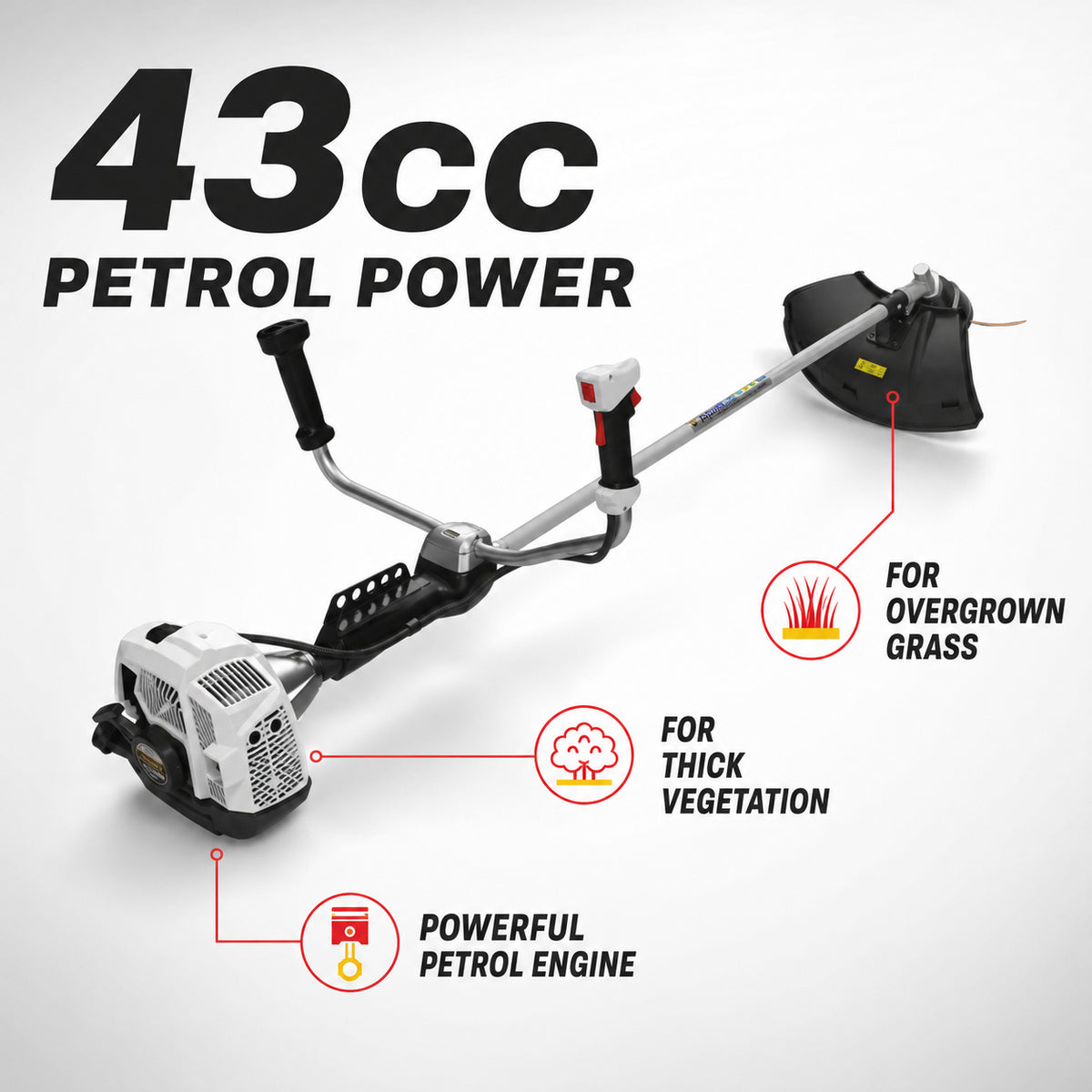 Alpina Italy Petrol Brush Cutter with 43cc Engine (B44 D)