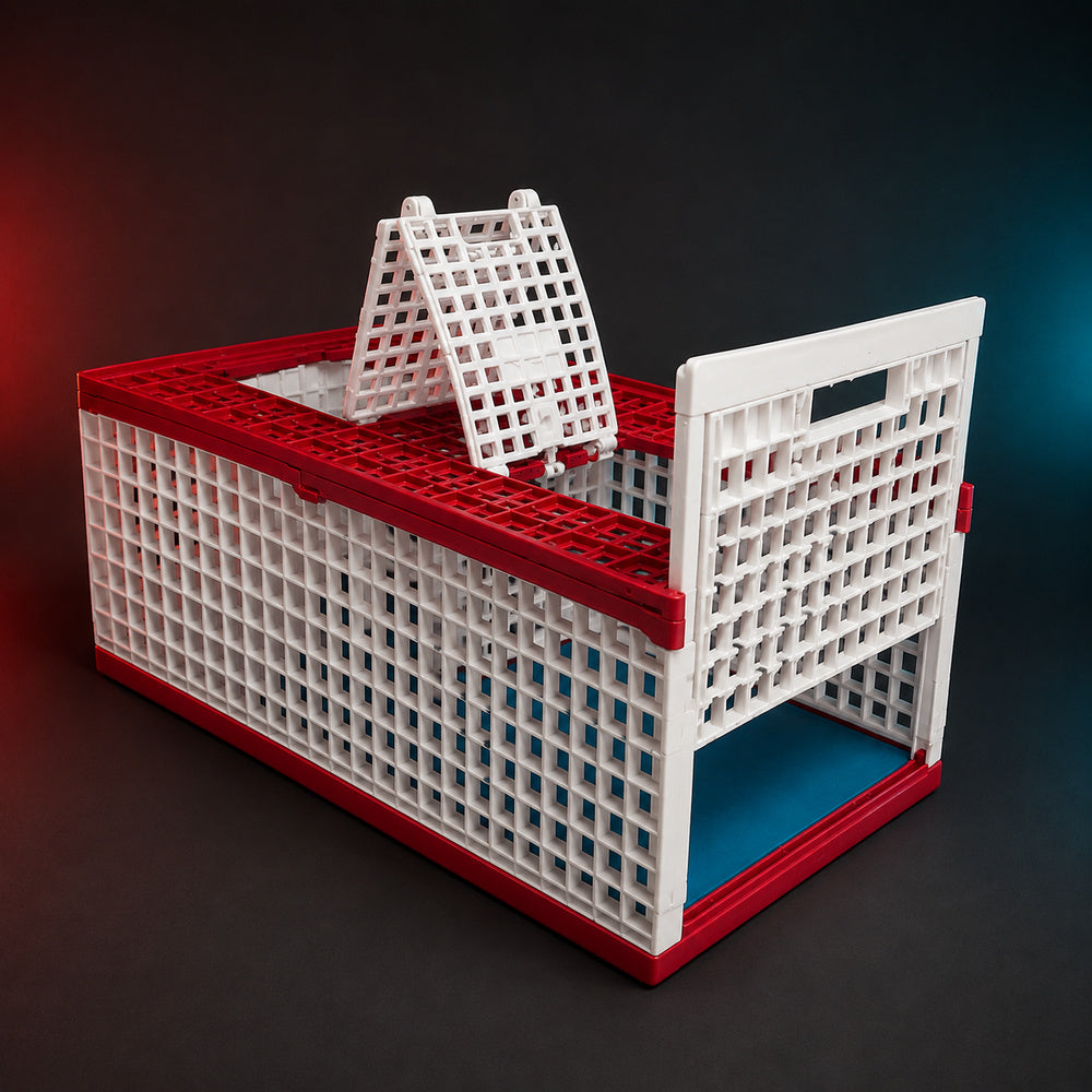 Giordano Bird Cage for Pigeon and other Similar Birds, 60x30cm (Made in Italy)