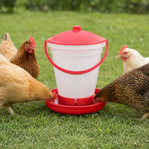 Poultry