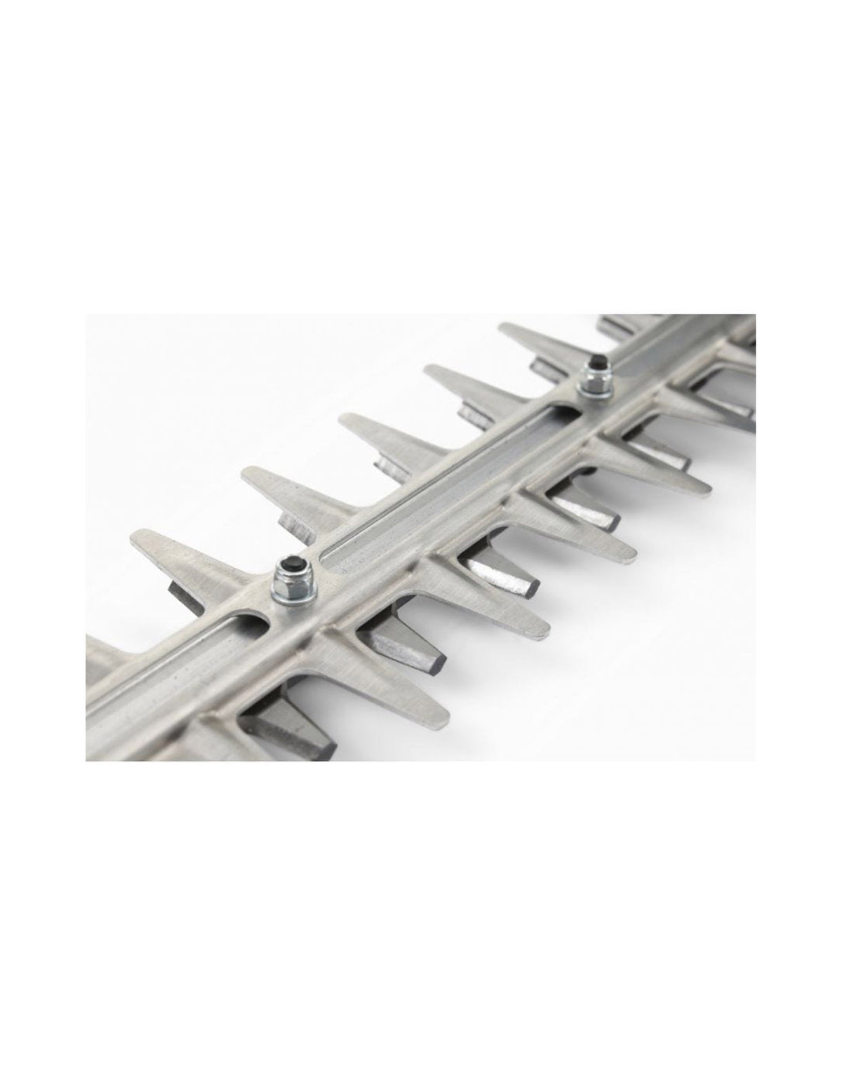 Alpina Italy Petrol Operated Hedge Trimmer with 70cm Dual-Action Blade, AHT 555