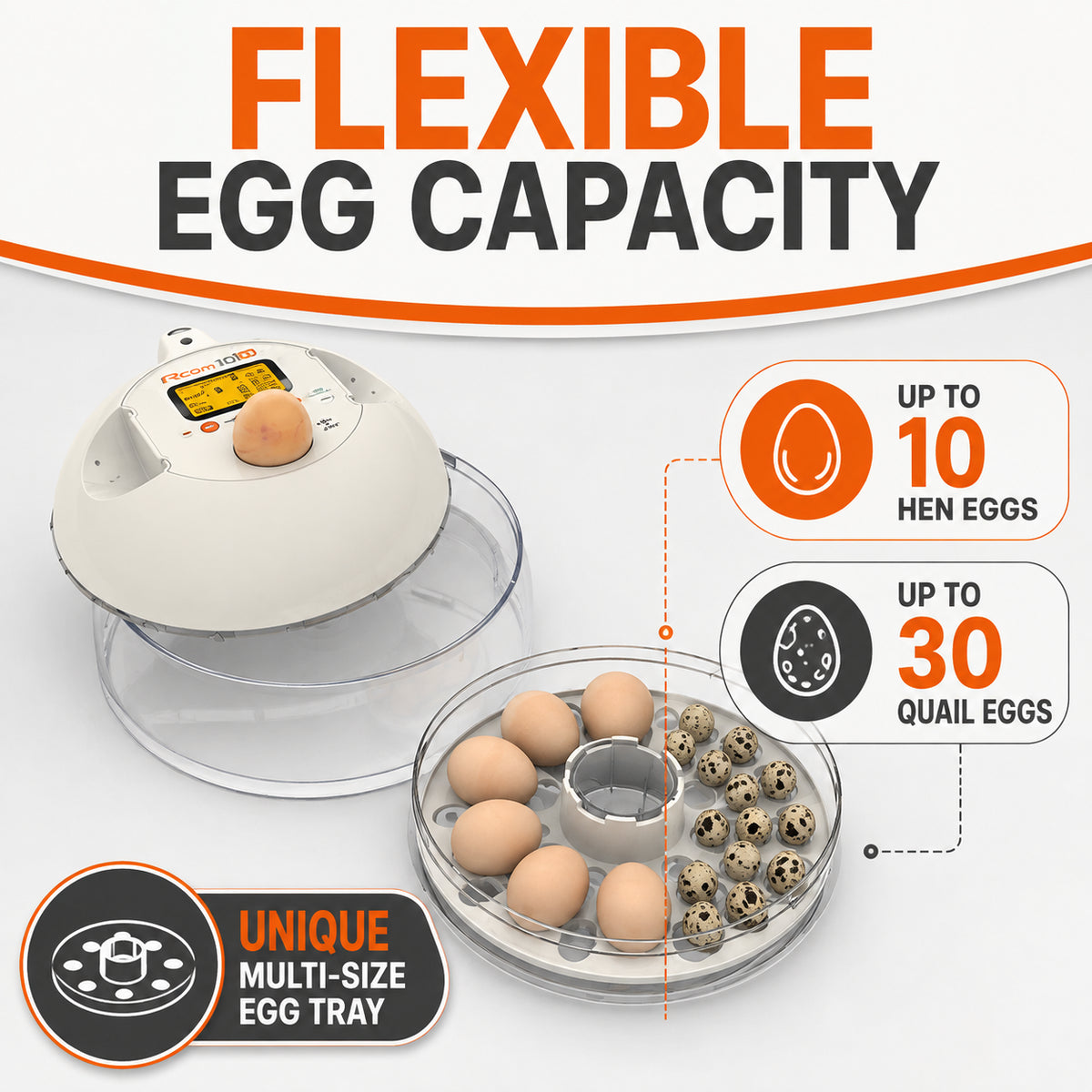 10-Eggs Full Automatic Egg Incubator with Automatic Pumping System, Rcom 10 Pro (Made in Korea)